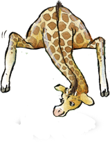 giraffe