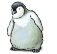 pinguin